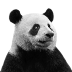 IPC Panda