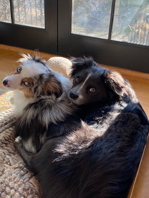 2023 February 06 - Weekly Q and A - Jerry Weitzel - Echo and Thor