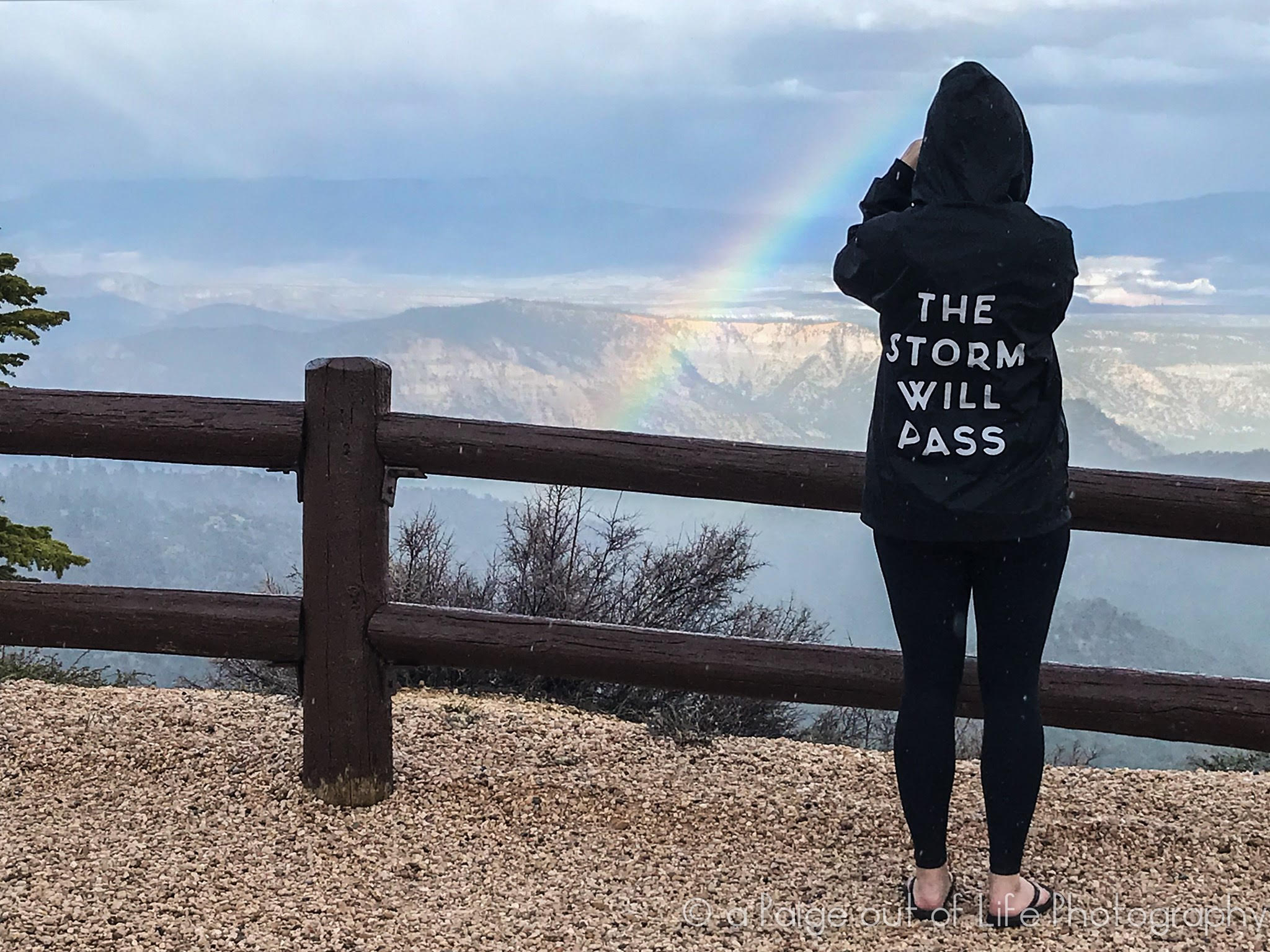 2023 July 17 - Weekly Q and A - Paige Neirman - Bryce Rainbow