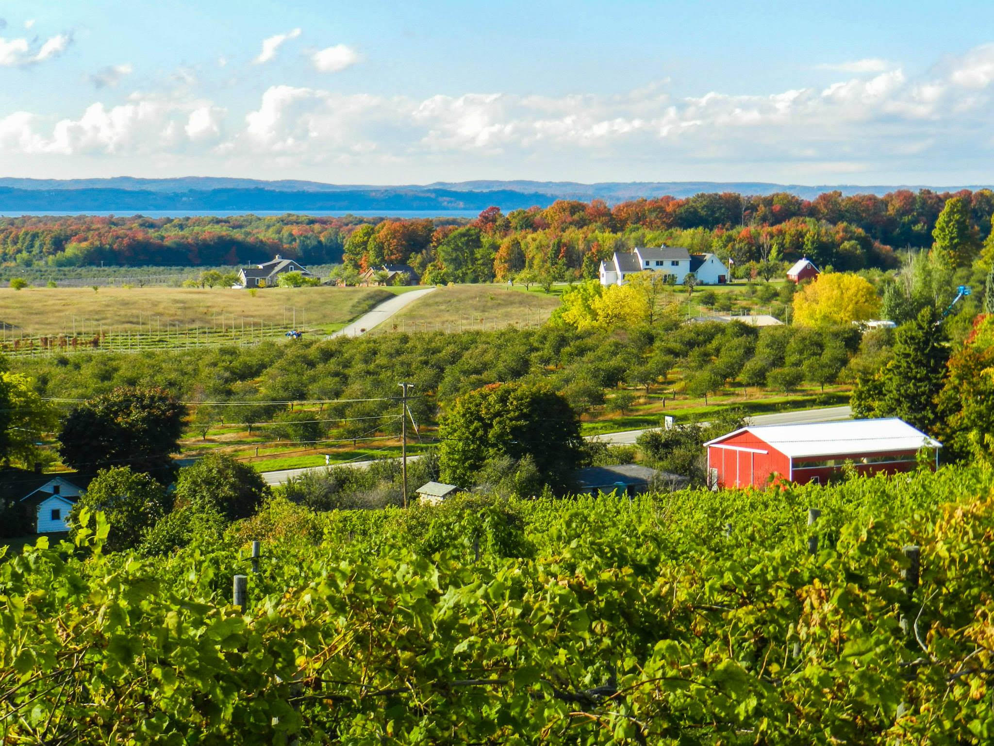 2023 July 17 - Weekly Q and A - Paige Neirman - Traverse City Fall