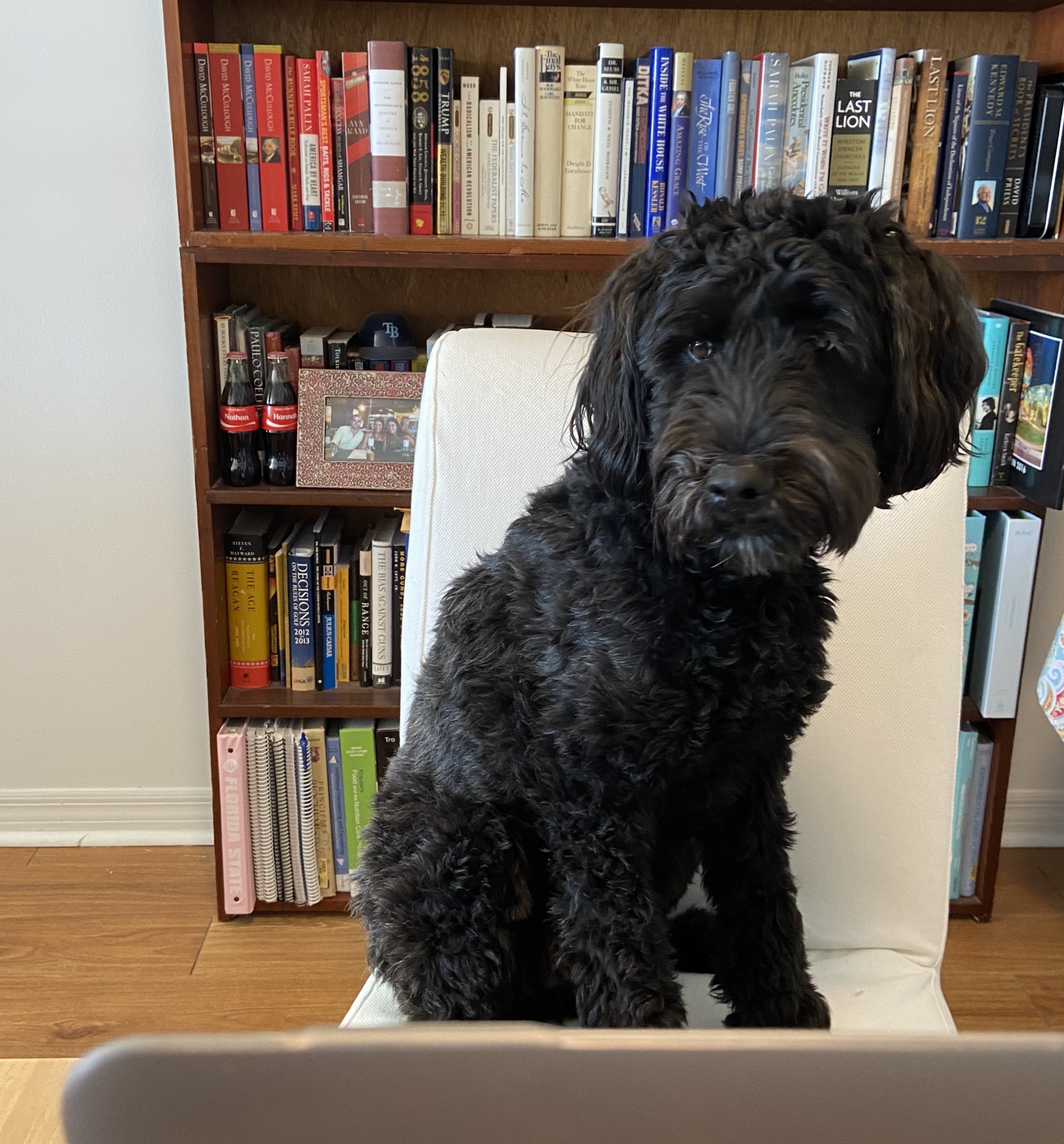 2023 June 19 - Weekly Q and A - Nathan Meloon - Dog