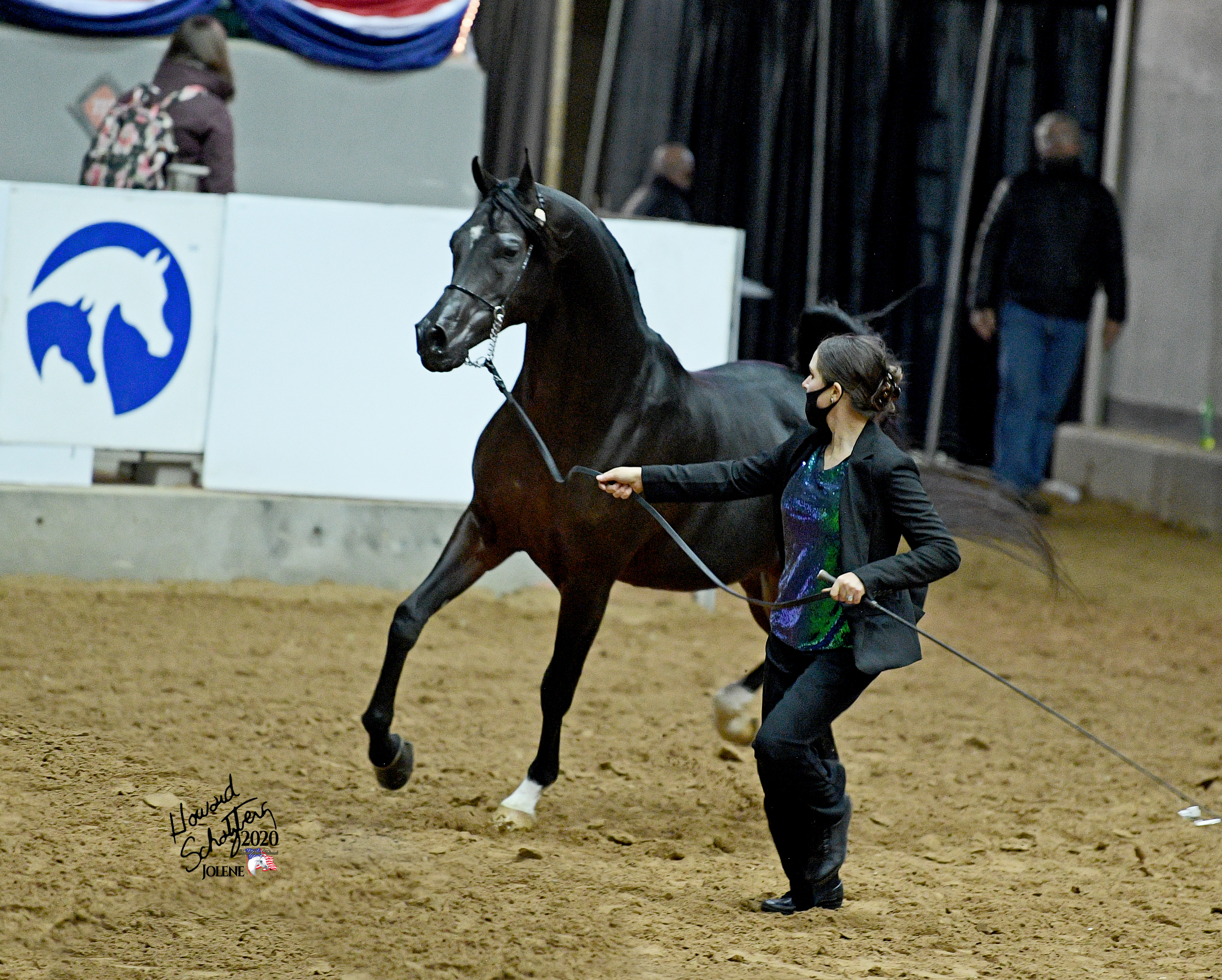 2022 November 14 - Weekly Q and A - Kathryne Baldwin - Horse 1