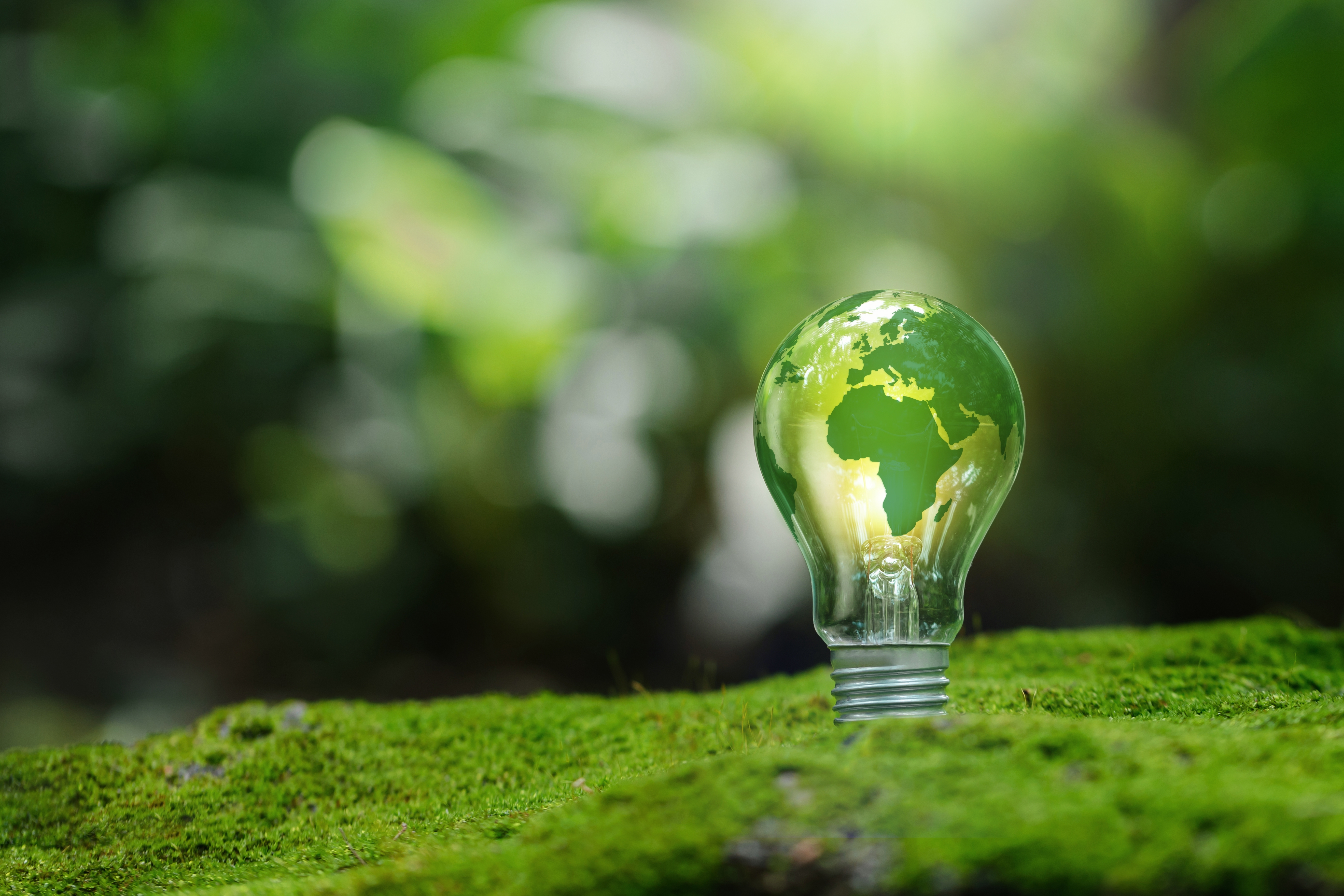2023 October 17 - Weekly Member Feature - E&E - earth lightbulb.