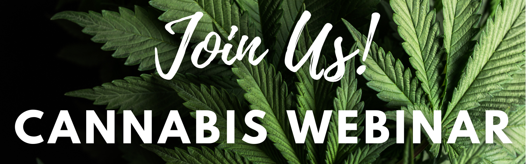 Cannabis Webinar - 2024 05 May 23