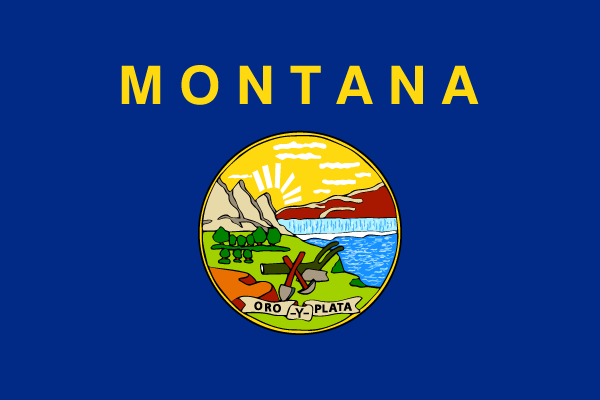 2025 July 15 - Weekly Travelogue - Montana - flag
