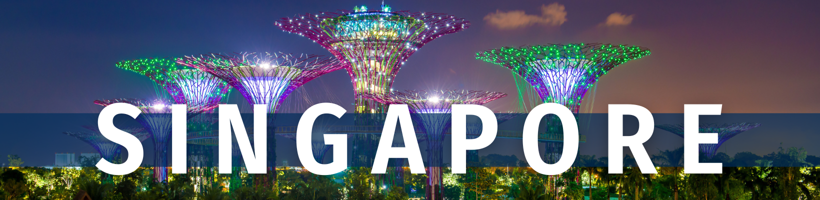 2025 July 29 - Travelogue - Singapore - header