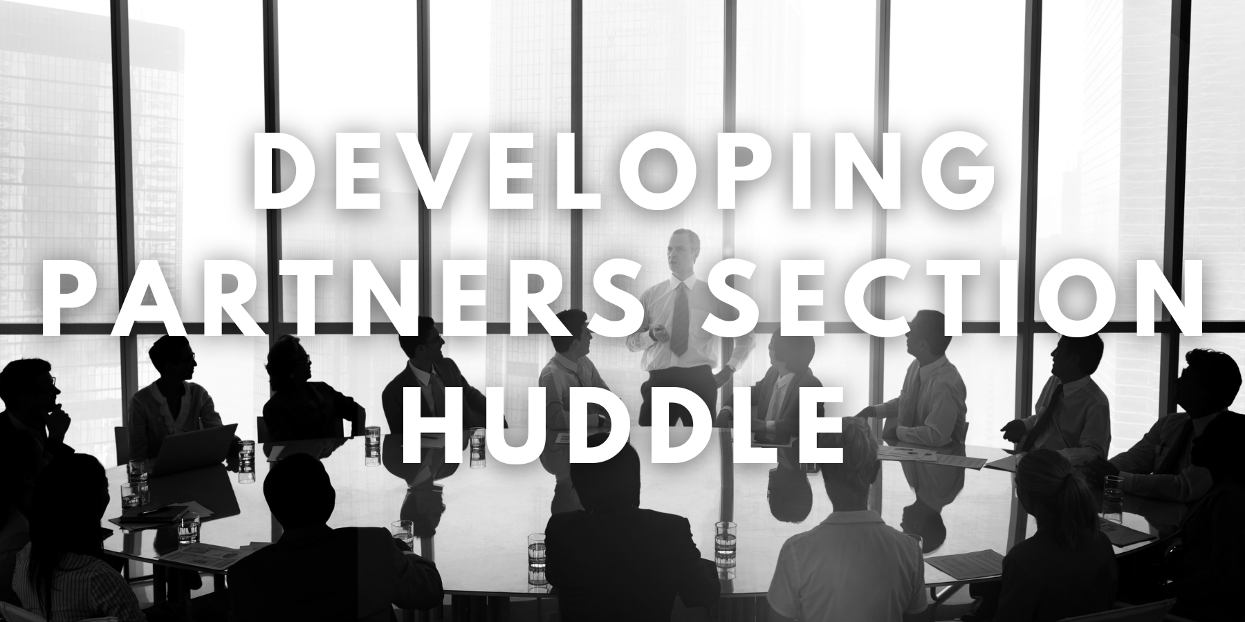 Developing Partners Section Networking Call - 2024 March 06