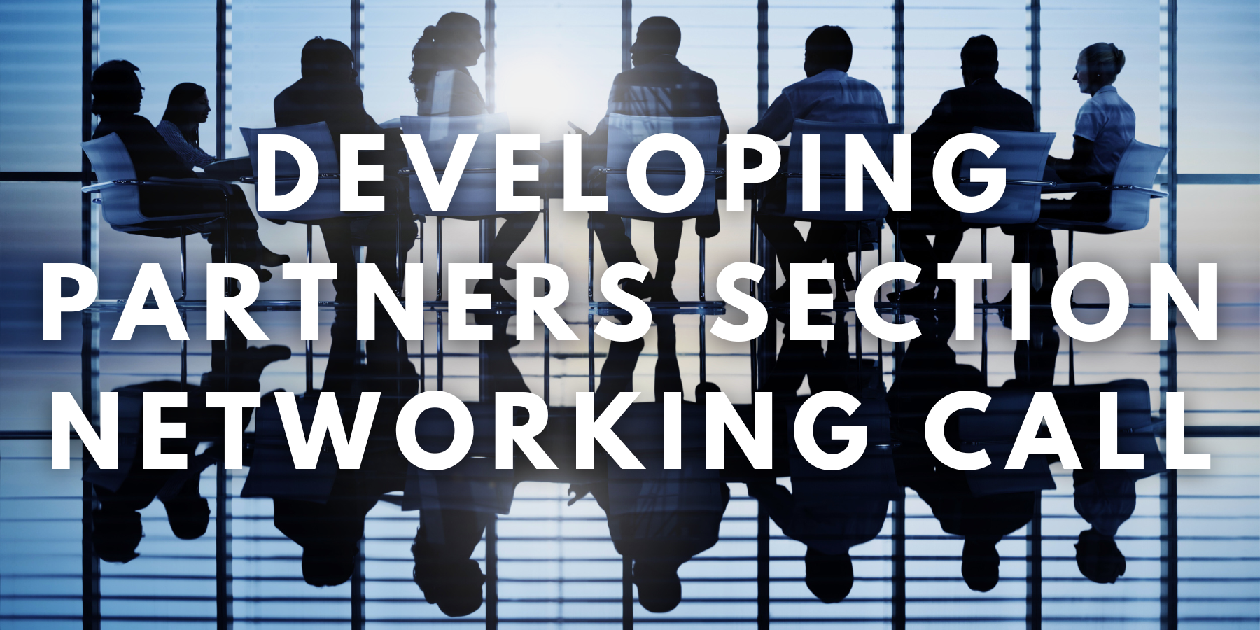 Developing Partners Section Networking Call - 2024 May 21