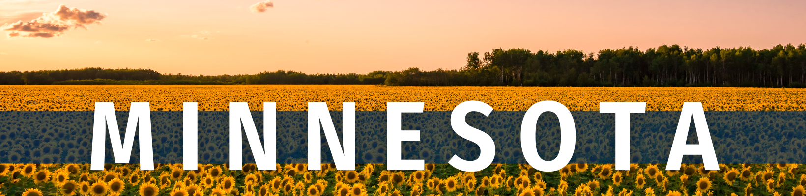 2025 August 05 - Weekly Travelogue - Minnesota