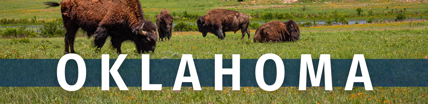 2025 October 14 - Weekly Travelogue - Oklahoma - header