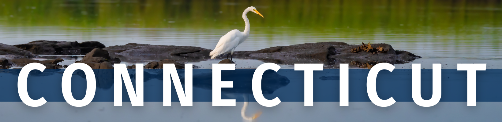 2025 November 04 - Weekly Travelogue - Connecticut - header