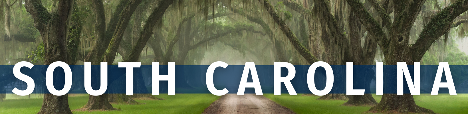2025 November 18 - Weekly Travelogue - South Carolina - header