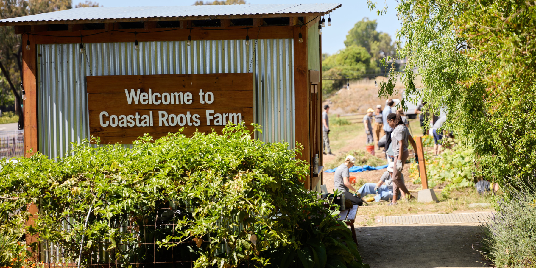 2026 PDI Convocation - Leisure Activity - Friday - Volunteer at Costal Roots Farm