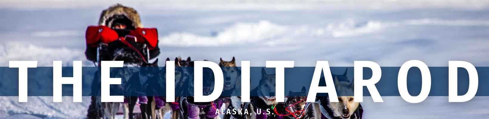 2026 March 03 - Weekly Travelogue - The Iditarod - Alaska, U.S. - header