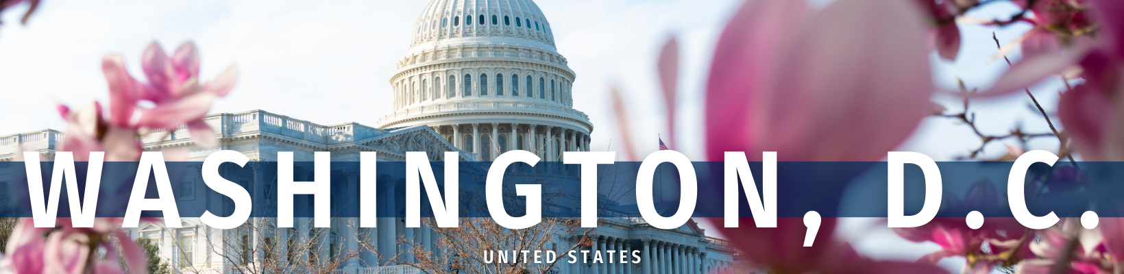 2026 March 24 - Weekly Festival Travelogue - Washington, D.C. Cherry Blossom Festival