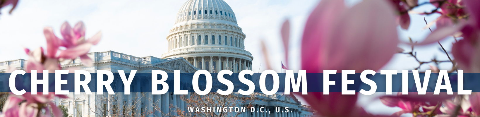 2026 March 24 - Weekly Festival Travelogue - Washington, D.C. Cherry Blossom Festival