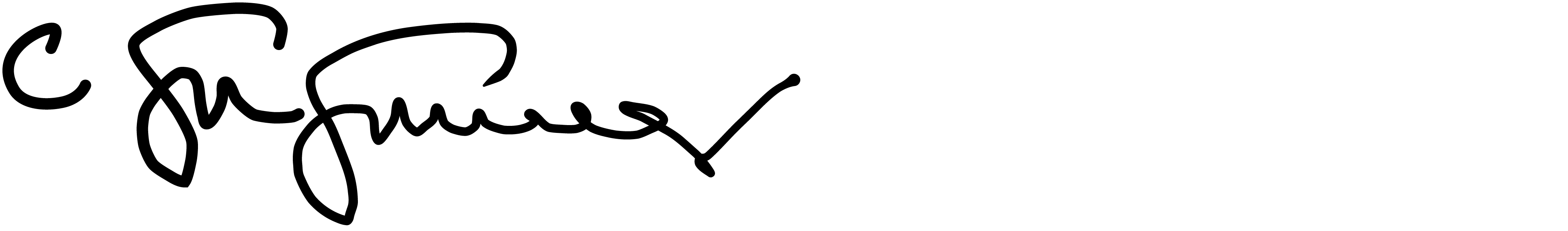 Christian Stegmaier Signature