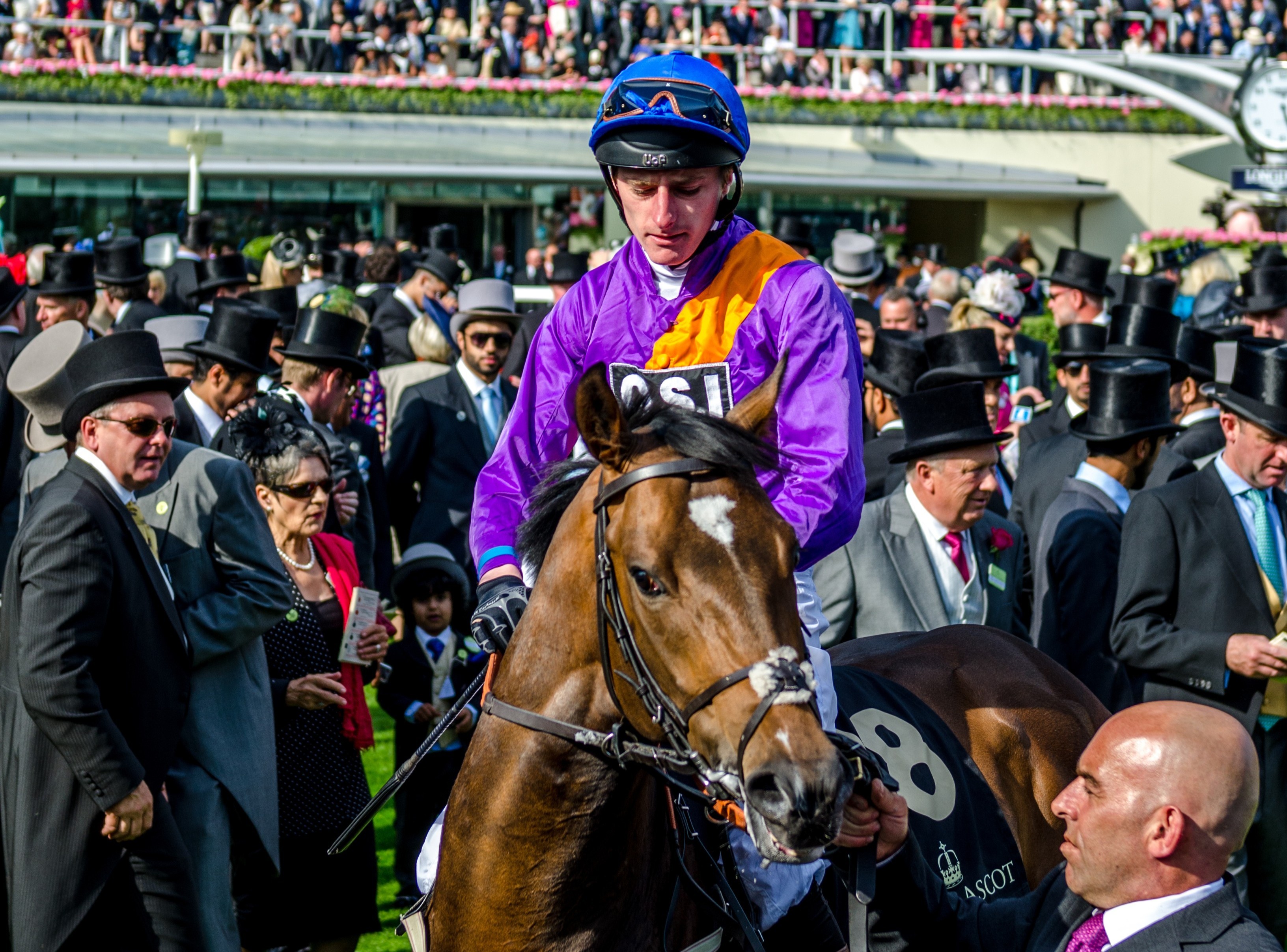 2026 June 16 - Weekly Festival Travelogue - Ascot, United Kingdom - Royal Ascot Horse & Jockey