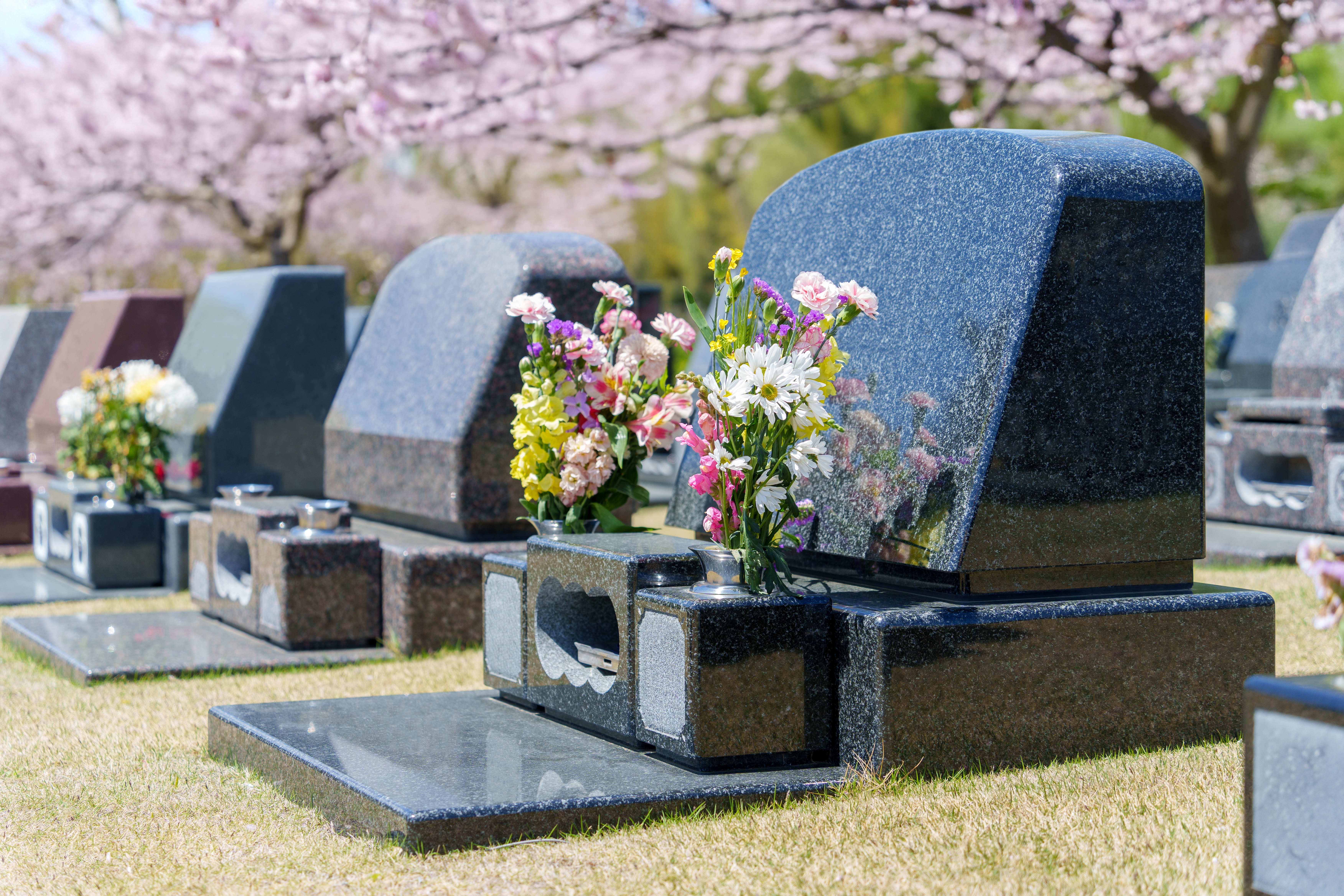 2026 August 11 - Weekly Festival Travelogue - Tokushima City, Japan - Obon - Graves