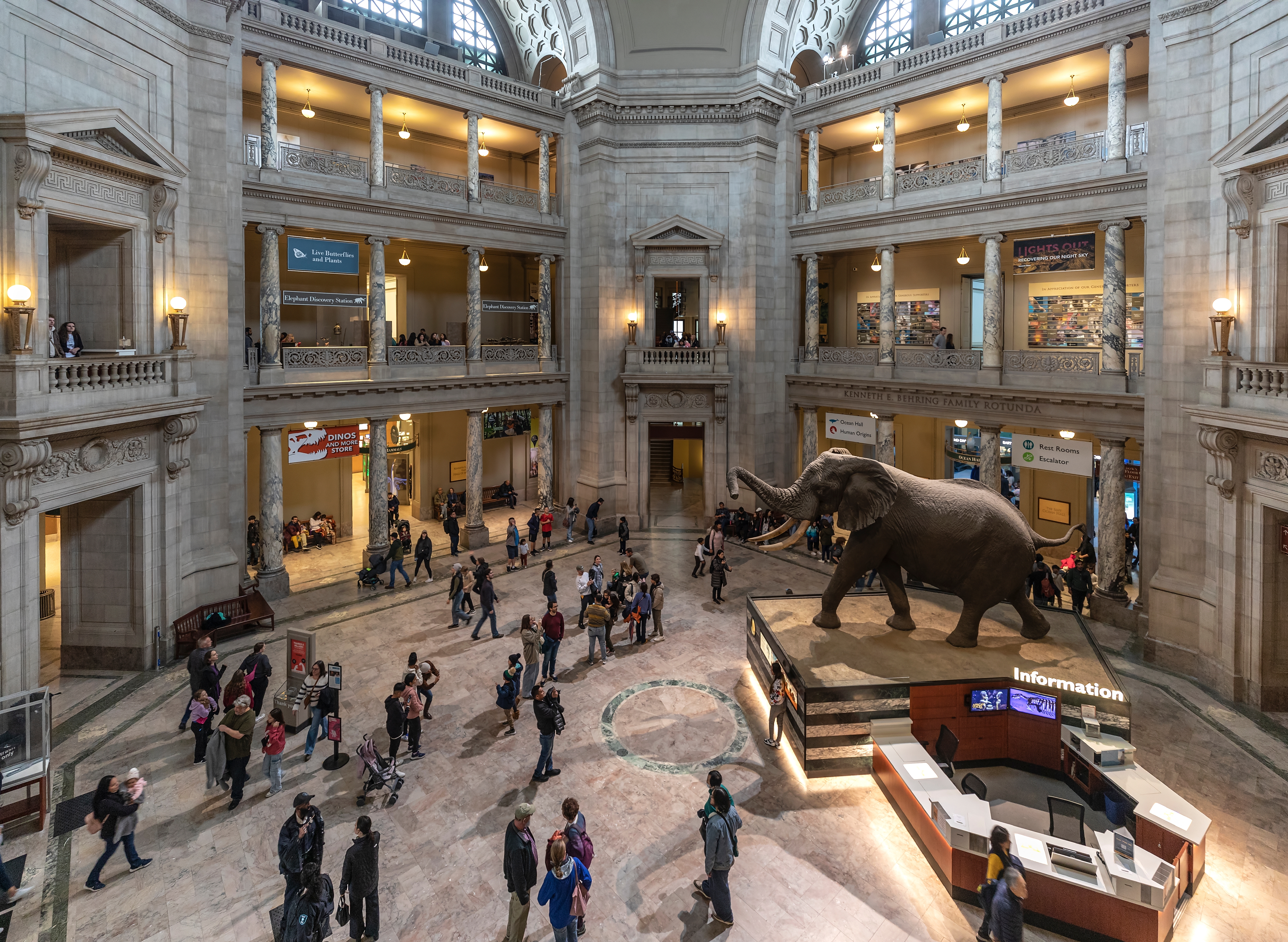 Smithsonian Museum of Natural History