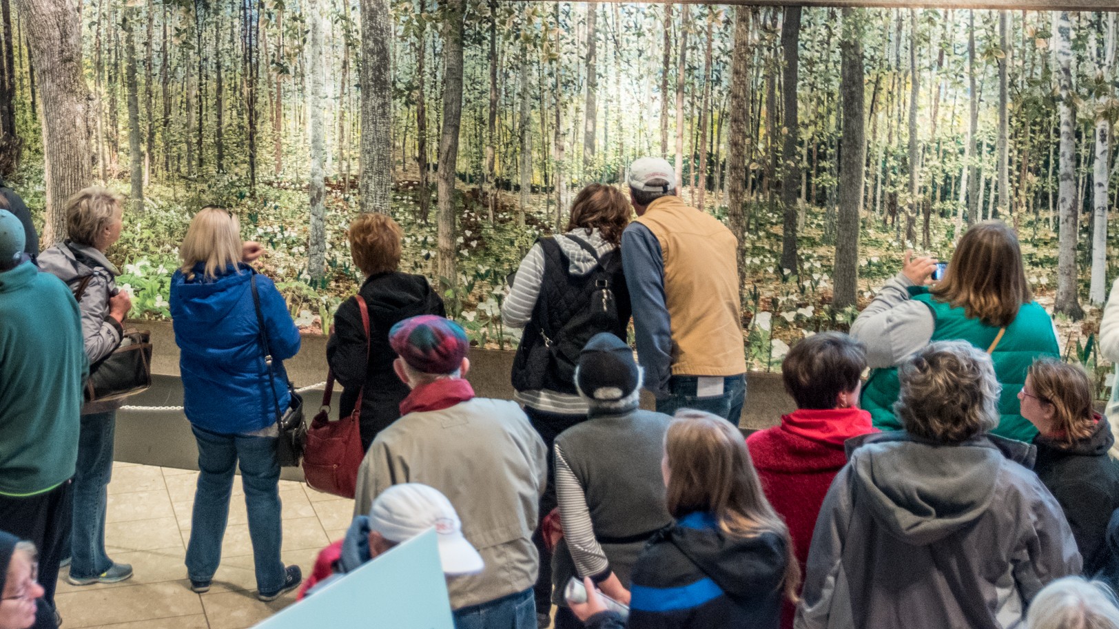 2026 September 15 - Weekly Festival Travelogue - Grand Rapids, Michigan, U.S. - ArtPrize - 2015 Public Vote Grand Prize Winner - Northwood Awakening – Loveless Photofiber