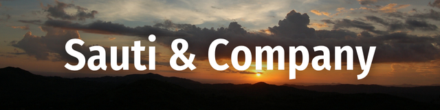 Sauti & Company