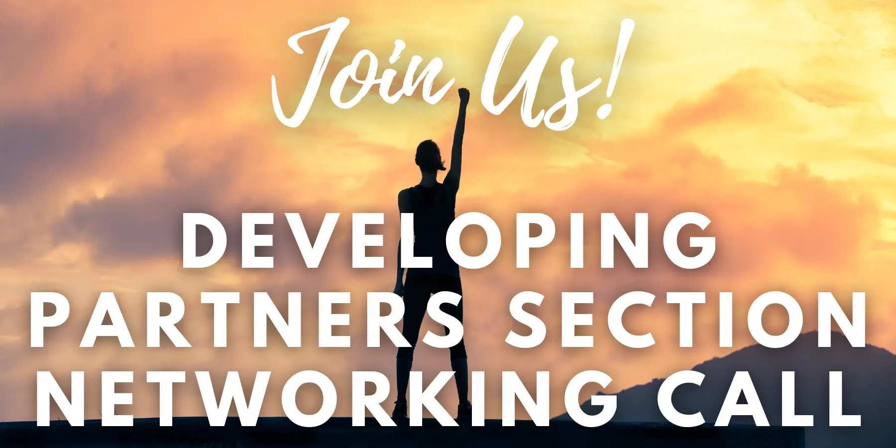 Join Us! Developing Partners Section Networking Call - 2026 January 20