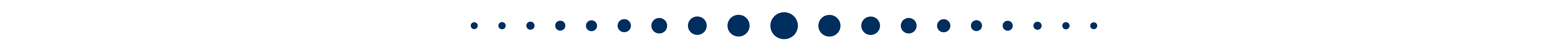 Navy Dot Divider
