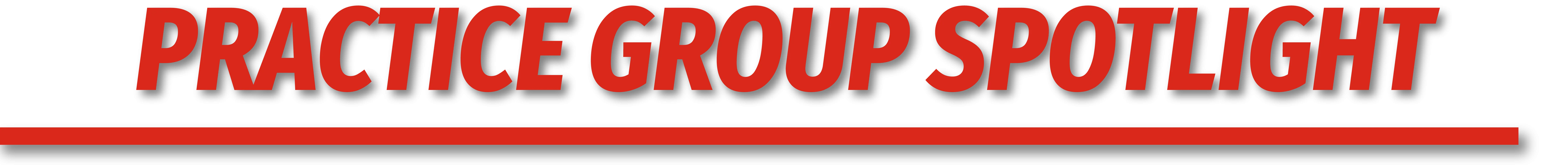 Practice Group Spotlight