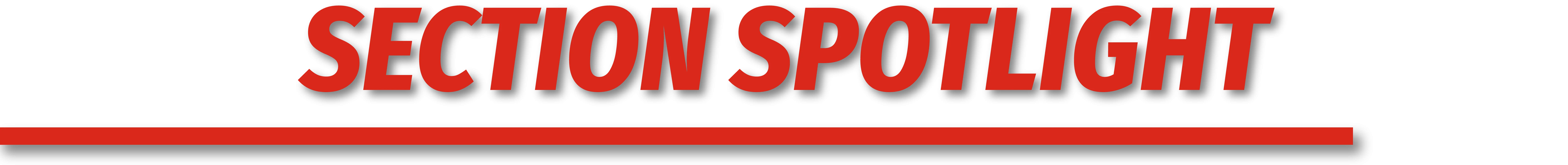 Section Spotlight