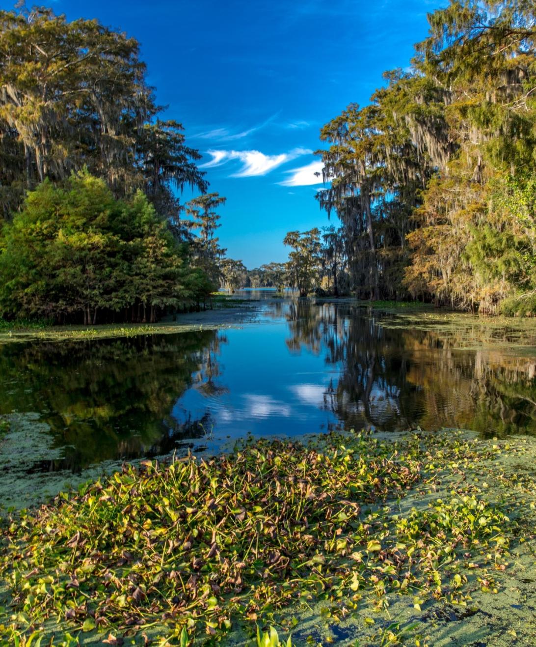 USA - Louisiana - Lafayette