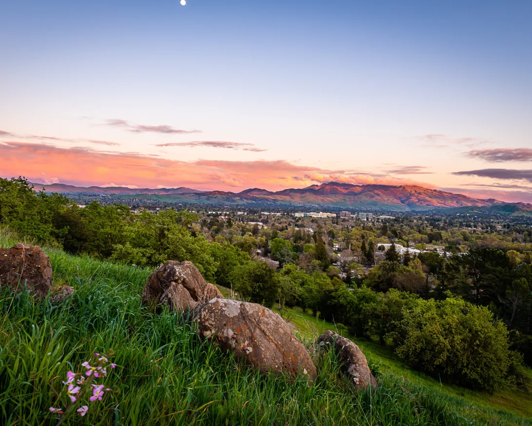 USA - California - Walnut Creek