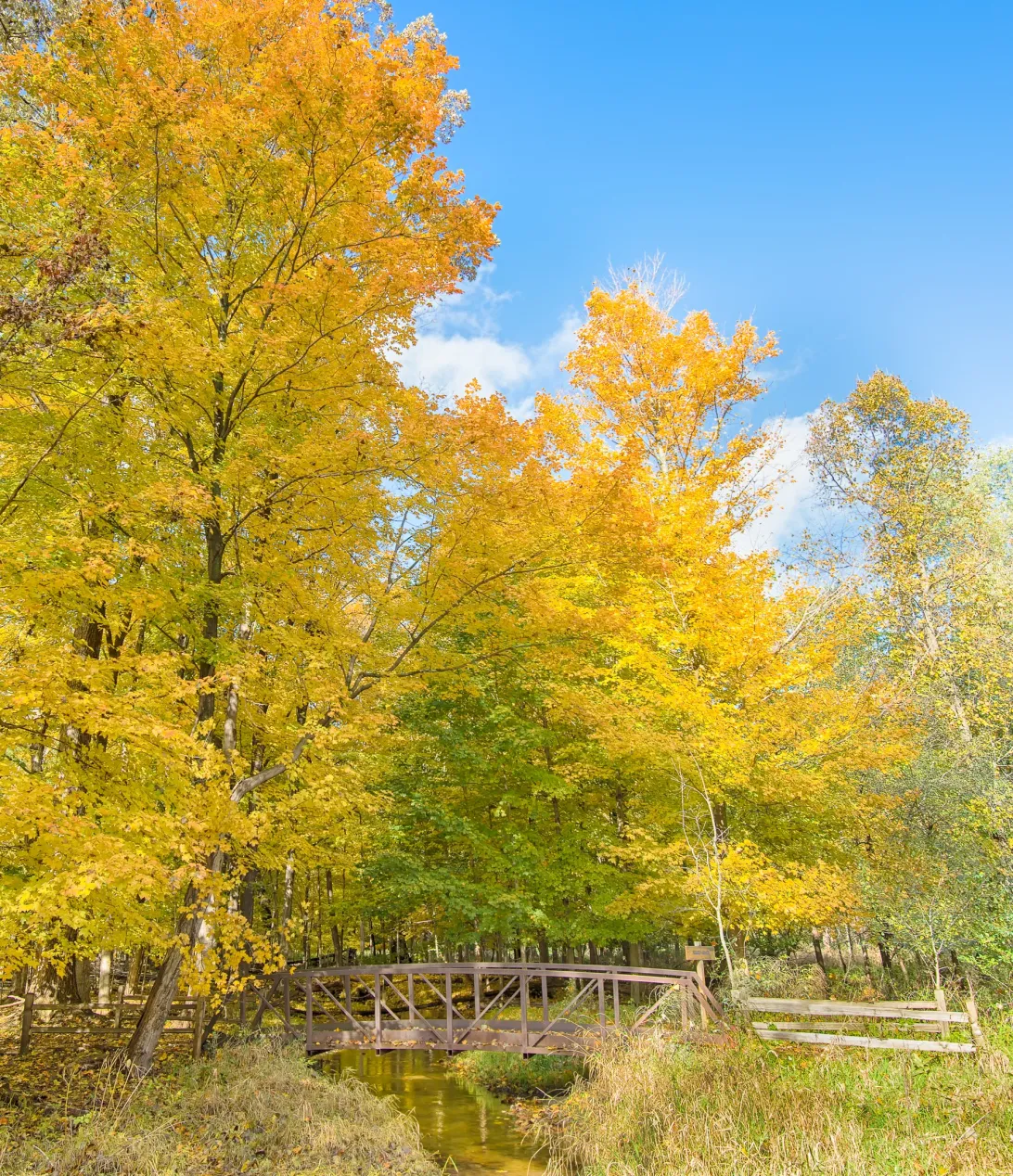 USA - Michigan - Troy