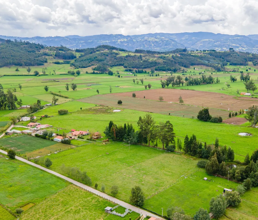 2026 February 16 - Weekly Off the Record - Colombia - scenic