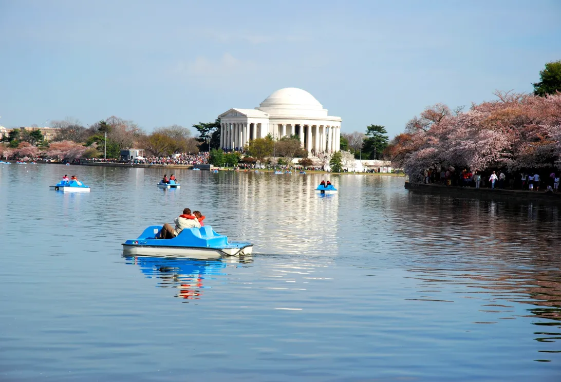 2026 March 24 - Weekly Festival Travelogue - Washington D.C. Cherry Blossom Festival
