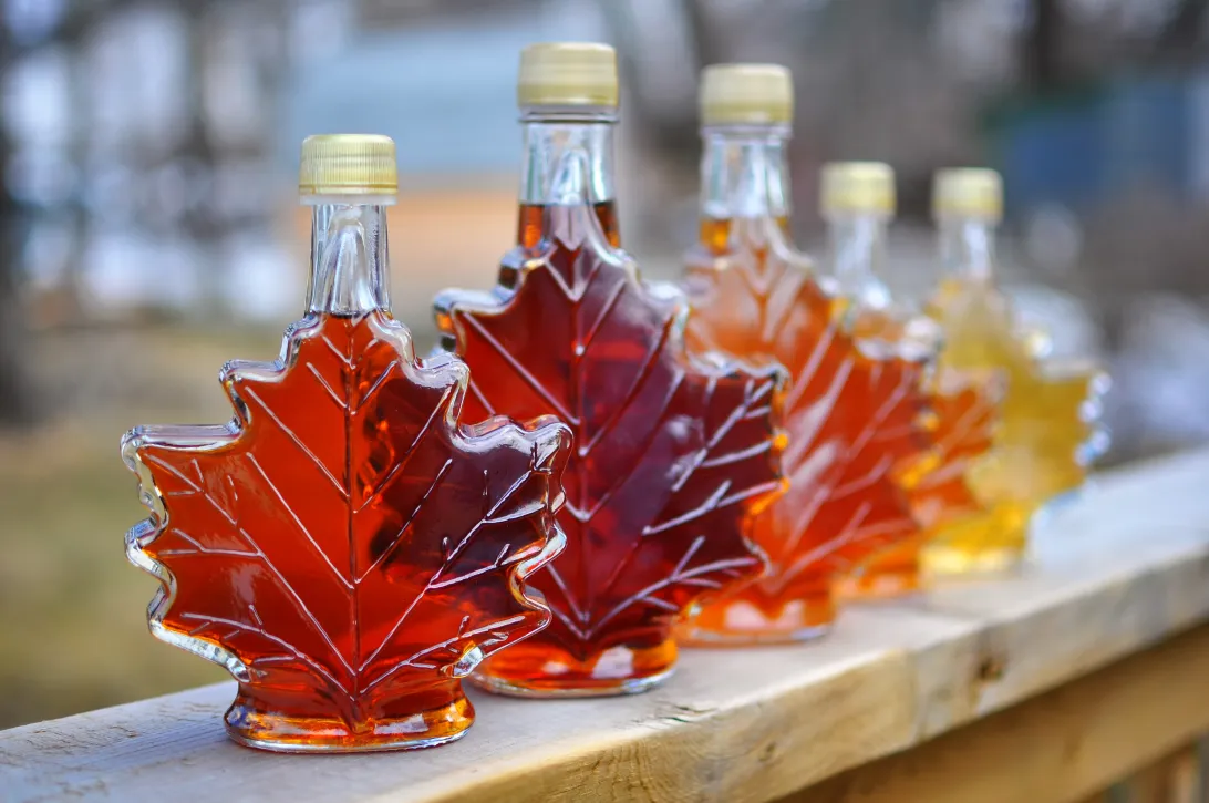 2026 April 28 - Weekly Travelogue - Perth, Ontario, Canada - Festival of the Maples - Maple Syrup