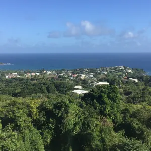 Tobago - Scarborough