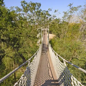 USA - Texas - McAllen