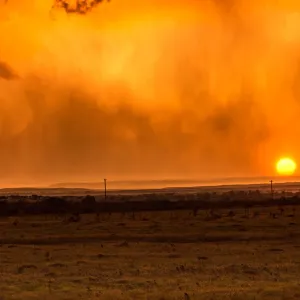 USA - New Mexico - Roswell