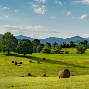 USA - Virginia - Charlottesville