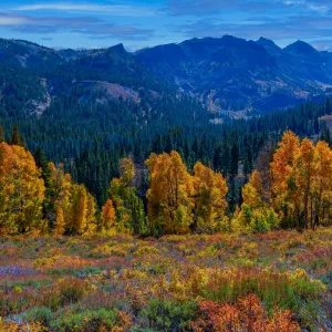 USA - California - Sonora