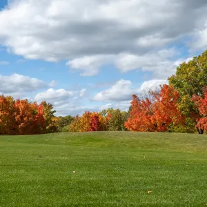 USA - Michigan - Royal Oak