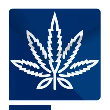 Cannabis Practice Group