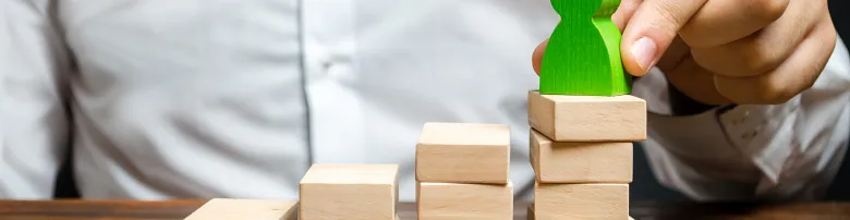 Developing Partners Section