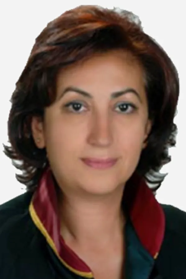 muhsine-tulin-kavasoglu